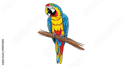 A vibrantly colored macaw parrot perched on a branch, showcasing its blue, yellow, and red plumage against a white background.
