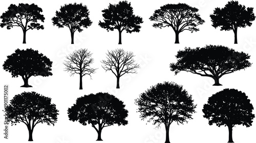  Tree silhouettes illustration set, various deciduous and savanna tree shapes, black and white nature vector collection for landscape design, ecology graphics, outdoor branding use