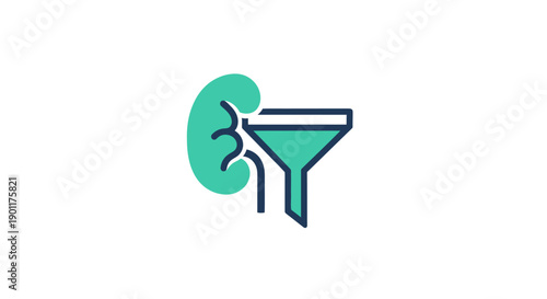 Kidney and ureter medical illustration.