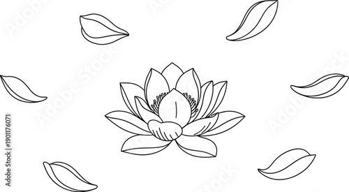 Lotus flower petals float around central bloom.