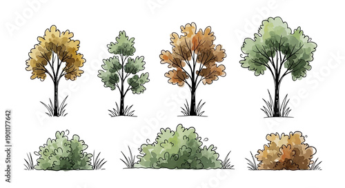 Watercolor hand-drawn illustrations of various trees and bushes with sketchy outlines and autumnal colors.