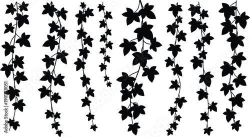 Black silhouette collection of vertical hanging ivy vines and creeping plant branches for elegant floral border design and nature wall decoration elements.