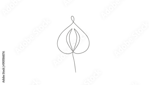 Minimalist vector line art leaf icon, simple leaf outline, for logo or symbol, Isolated on transparent background, png