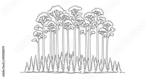 Palm trees vector illustration, tropical palm forest landscape, line art style, for website background or presentation template, Isolated on transparent background, png