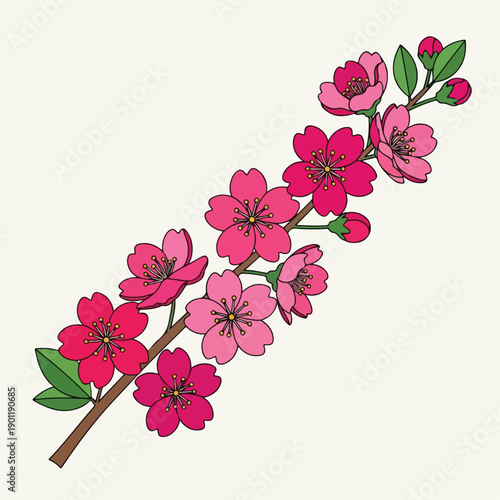 Branch with Pink Flowers and Green Leaves.