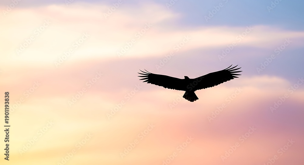 Fototapeta premium Silhouetted Eagle Flying in Sunset Sky