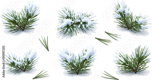 Pine branch with snow