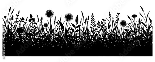 Silhouette of wildflowers and grasses against a plain background