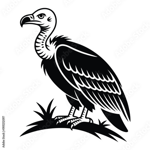 vulture