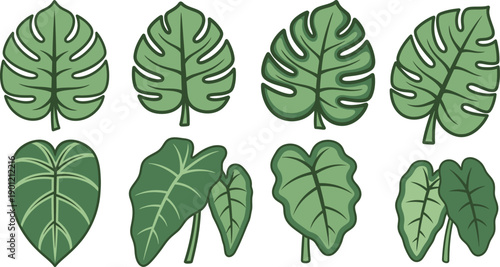 Organic Botanical Leaf Assortment on Clean White. Natural Design Elements for Branding and Packaging. Eco Growth and Sustainability Concept