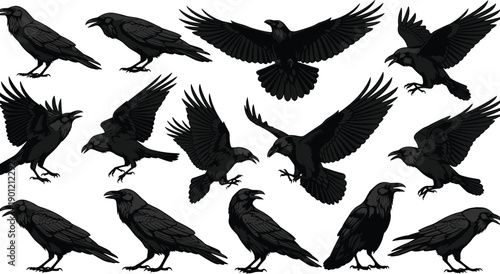 Large Collection of Detailed Black Raven and Crow Silhouettes Featuring Various Flying and Perched Poses Isolated on White Background for Gothic Nature and Halloween Designs