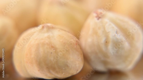  video of hazelnuts
