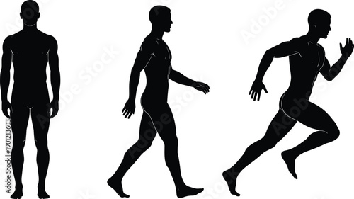 Male human body silhouette vector illustration showing standing, walking, running poses, anatomy motion study isolated on white background for fitness sport design concept