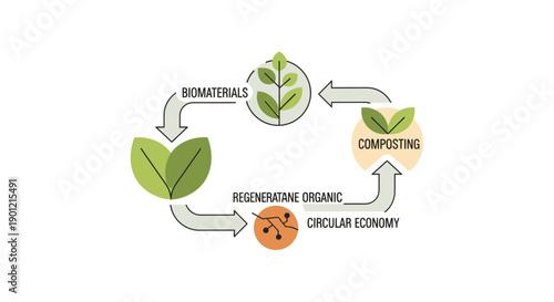 Circular Economy Diagram of Biocycle: Biomaterials, Composting, and Regenerative Organic System Flow Chart