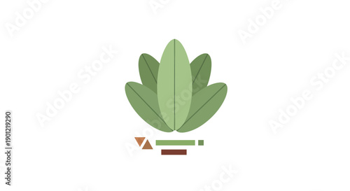 Frontal view of centered plant illustration with leaves, rectangles and triangle on white background