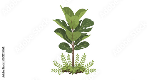 Close-up illustration of a thriving green plant with stem, leaves, ferns and soil on white backdrop