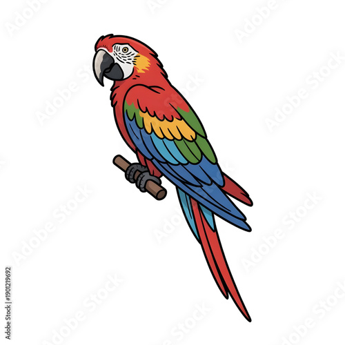 Parrot on Branch illustration vector design 