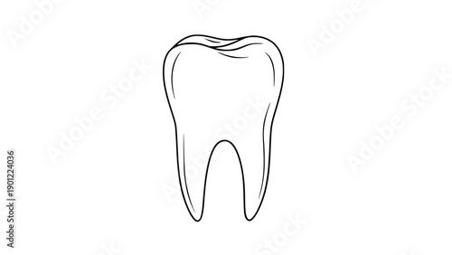 Minimalist human molar tooth line art dentistry oral health icon vector