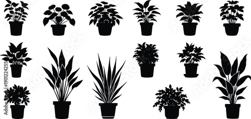 Collection of black and white potted plant in various styles potted plants plant indoor plants houseplants