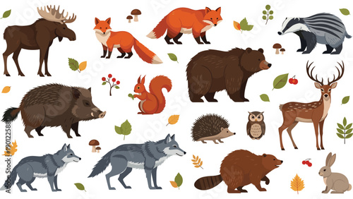 A large collection of realistic cartoon forest animals from the Northern hemisphere, including a moose, bear, fox, wolf, and deer.