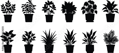 Set of ten potted plants in black and white plant collection indoor plants houseplants