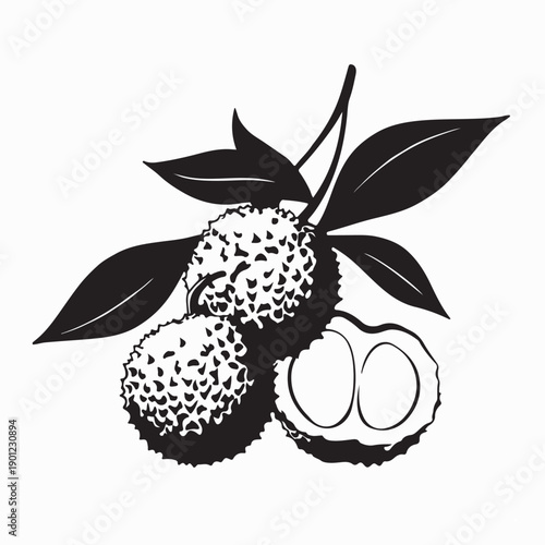 Fresh Lychee with leaves Image Vector  isolated on white background 