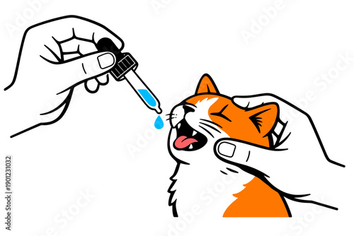 Orange cat receiving liquid medicine from dropper held by hands
