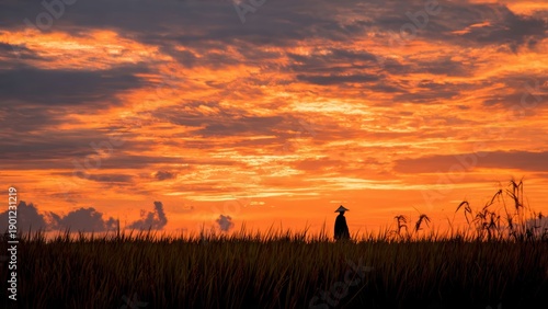 A silhouette of a person standing in a field against a vibrant sunset, casting warm hues of orange and gold across the sky.