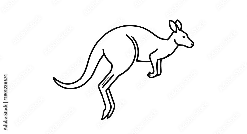 Fototapeta premium kangaroo vector illustration