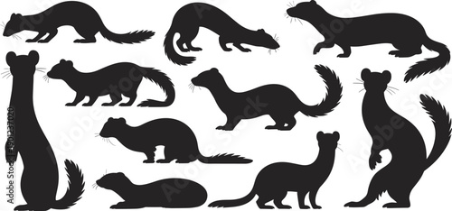 Weasel and mustelid silhouettes collection, small wild mammals in various poses, black animal shapes, minimalist wildlife icons, isolated on white background