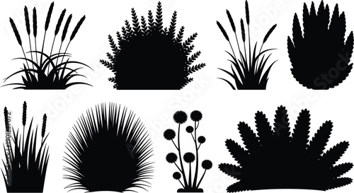 Bush and grass silhouettes collection, wild garden shrubs reeds foliage plants, minimalist botanical elements, black nature icons set, isolated on white background
