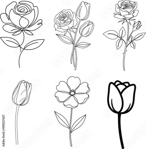 A collection of six hand drawn flower illustrations in various styles and stages of bloom
