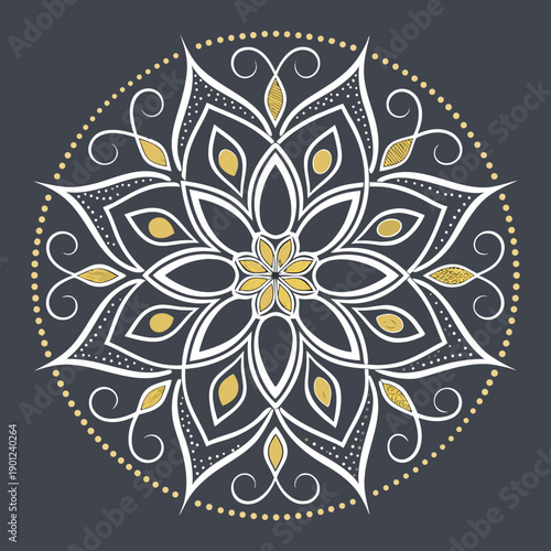 A solid dark gray background fills the entire frame offering a minimalist and neutral visual space high quality professional