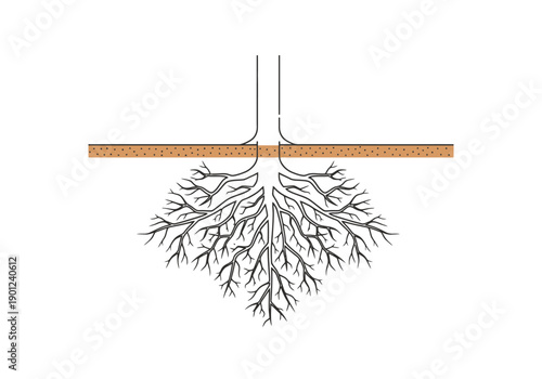 Detailed illustration of tree roots spreading underground beneath the earth line showing anchoring and nutrient absorption system clearly rendered