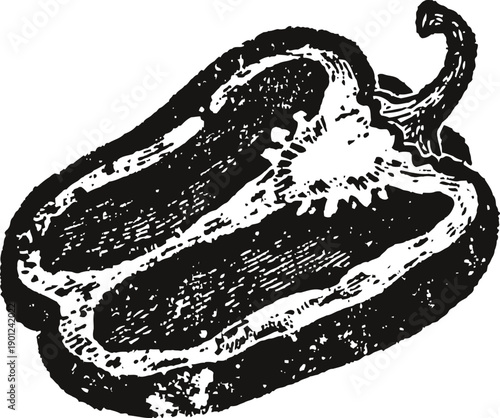 Black and white vintage illustration of a sliced bell pepper half with seeds and stem
