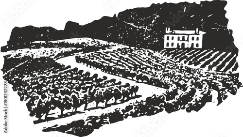 Vintage vineyard landscape with rows of grapevines and a farmhouse on a hill