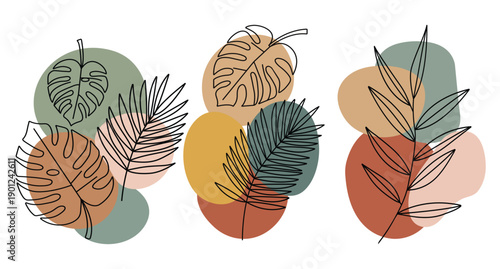 Three colorful palm seeds with spiky textures isolated on white background for tropical nature design