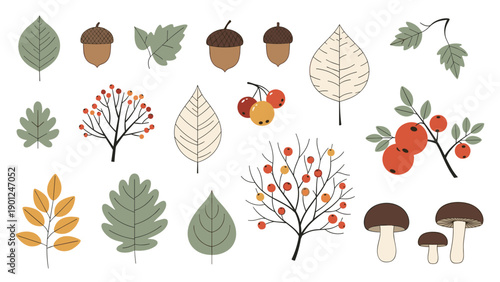 Collection of autumn themed elements including various leaves acorns mushrooms and berry branches in a warm earth tone palette.