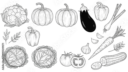 Collection of detailed black and white vintage style sketches of various vegetables like pumpkin eggplant carrot tomato and cauliflower.