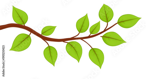 leaves, leaf, green, nature, plant, foliage, botanical, natural, fresh, eco, organic, environment, growth, spring, greenery, flora, herbal, decorative, design, illustration, vector, graphic, icon, sym