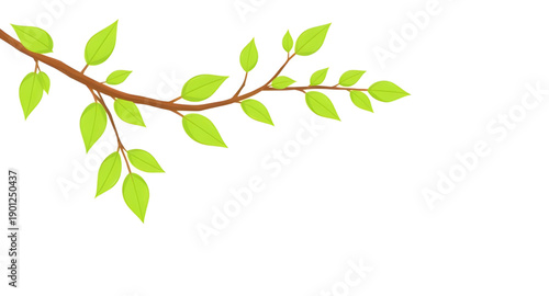 leaves, leaf, green, nature, plant, foliage, botanical, natural, fresh, eco, organic, environment, growth, spring, greenery, flora, herbal, decorative, design, illustration, vector, graphic, icon, sym