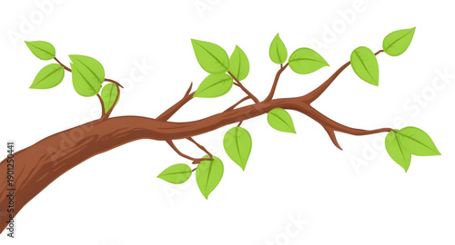 leaves, leaf, green, nature, plant, foliage, botanical, natural, fresh, eco, organic, environment, growth, spring, greenery, flora, herbal, decorative, design, illustration, vector, graphic, icon, sym