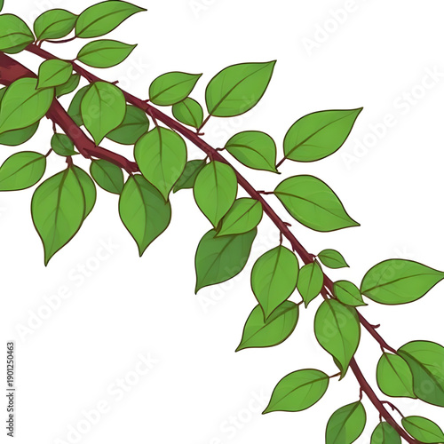 leaves, leaf, green, nature, plant, foliage, botanical, garden, natural, fresh, eco, organic, environment, growth, spring, summer, greenery, flora, herbal, tropical, decorative, design, illustration, 