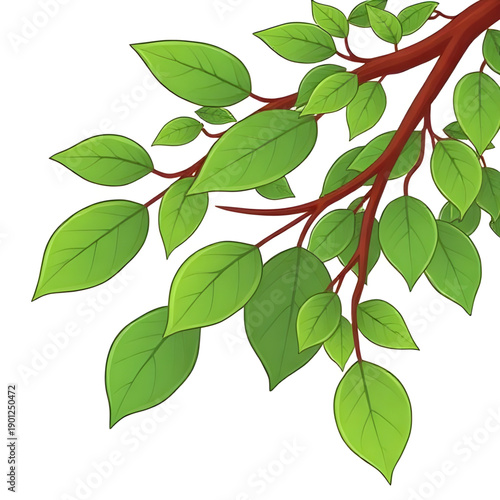 leaves, leaf, green, nature, plant, foliage, botanical, garden, natural, fresh, eco, organic, environment, growth, spring, summer, greenery, flora, herbal, tropical, decorative, design, illustration, 
