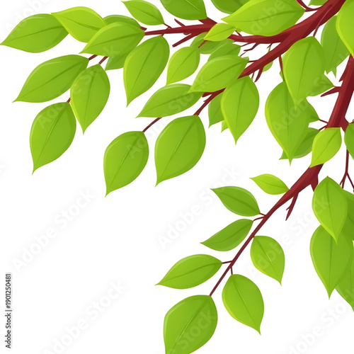 leaves, leaf, green, nature, plant, foliage, botanical, garden, natural, fresh, eco, organic, environment, growth, spring, summer, greenery, flora, herbal, tropical, decorative, design, illustration, 