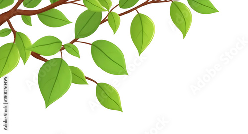 leaves, leaf, green, nature, plant, foliage, botanical, garden, natural, fresh, eco, organic, environment, growth, spring, summer, greenery, flora, herbal, tropical, decorative, design, illustration, 