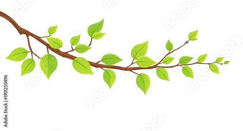 leaves, leaf, green, nature, plant, foliage, botanical, natural, fresh, eco, organic, environment, growth, greenery, flora, herbal, decorative, design, illustration, vector, graphic, icon, symbol, ele