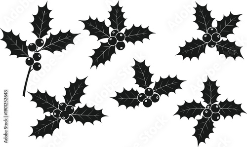 Black holly leaves with red berries on white background