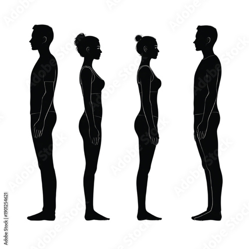 Human scale reference silhouettes, architectural proportion people vector

