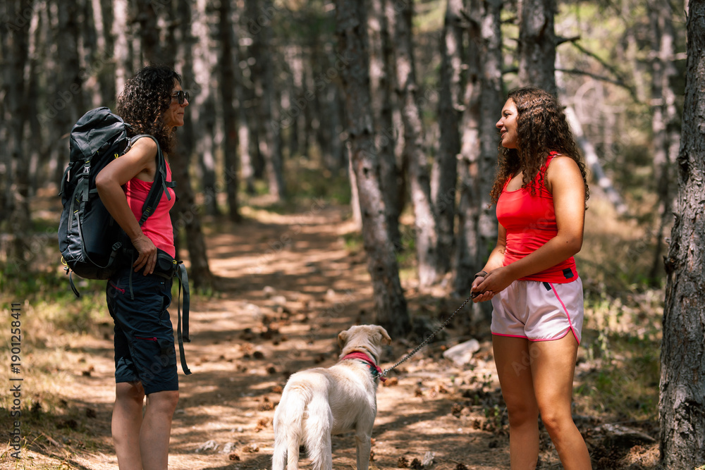 Fototapeta premium Two women enjoy a summer hike in a forest with a dog while chatting on a sunny day surrounded by tall trees and green foliage